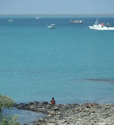 Net-free zone declared for Broome